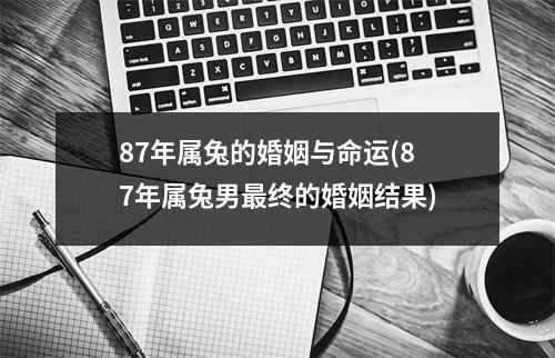 87年属兔的婚姻与命运(87年属兔男终的婚姻结果)