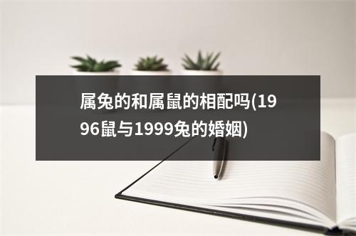 属兔的和属鼠的相配吗(1996鼠与1999兔的婚姻)