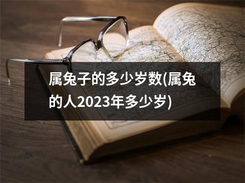 属兔子的多少岁数(属兔的人2023年多少岁)