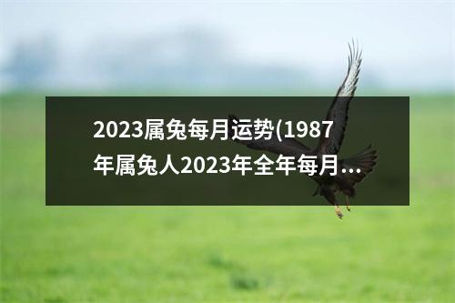 2023属兔每月运势(1987年属兔人2023年全年每月运势)