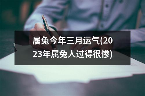 属兔今年三月运气(2023年属兔人过得很惨)