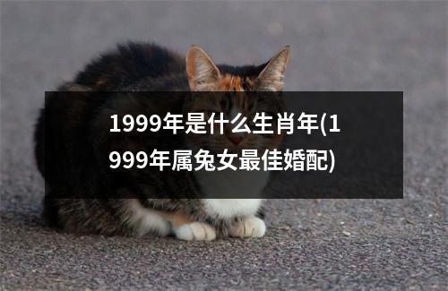 1999年是什么生肖年(1999年属兔女佳婚配)