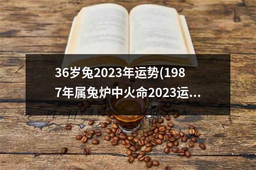 36岁兔2023年运势(1987年属兔炉中火命2023运势)