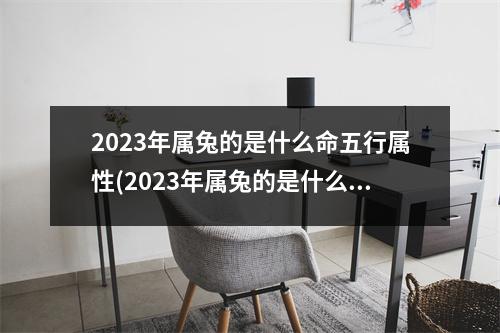 2023年属兔的是什么命五行属性(2023年属兔的是什么命五行属什么)