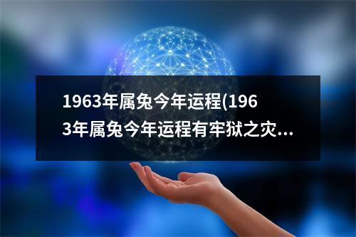 1963年属兔今年运程(1963年属兔今年运程有牢狱之灾吗)