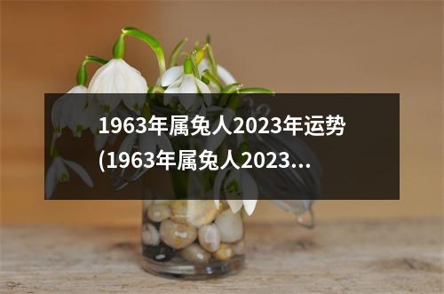 1963年属兔人2023年运势(1963年属兔人2023年运势及运程是什么么命)