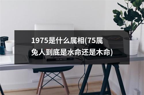 1975是什么属相(75属兔人到底是水命还是木命)