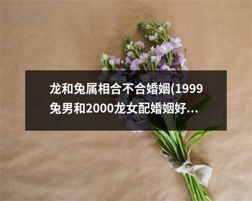 龙和兔属相合不合婚姻(1999兔男和2000龙女配婚姻好不好)