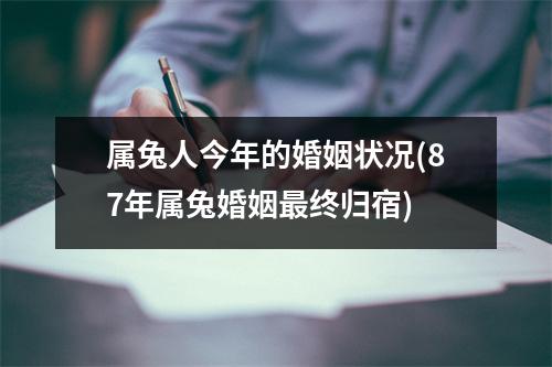 属兔人今年的婚姻状况(87年属兔婚姻终归宿)