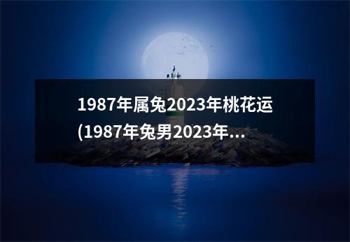 1987年属兔2023年桃花运(1987年兔男2023年桃花方位)