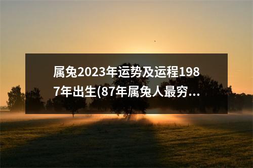 属兔2023年运势及运程1987年出生(87年属兔人穷不过36岁)