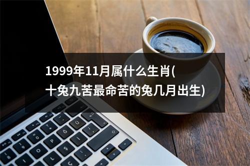 1999年11月属什么生肖(十兔九苦命苦的兔几月出生)