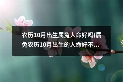 农历10月出生属兔人命好吗(属兔农历10月出生的人命好不好)