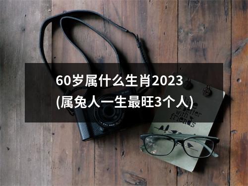 60岁属什么生肖2023(属兔人一生旺3个人)