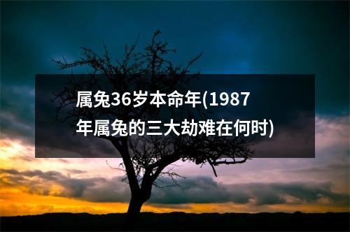 属兔36岁本命年(1987年属兔的三大劫难在何时)