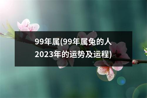 99年属(99年属兔的人2023年的运势及运程)