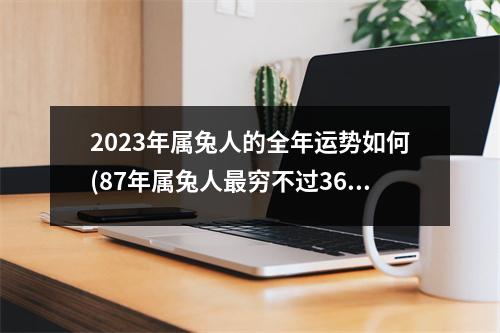 2023年属兔人的全年运势如何(87年属兔人穷不过36岁)