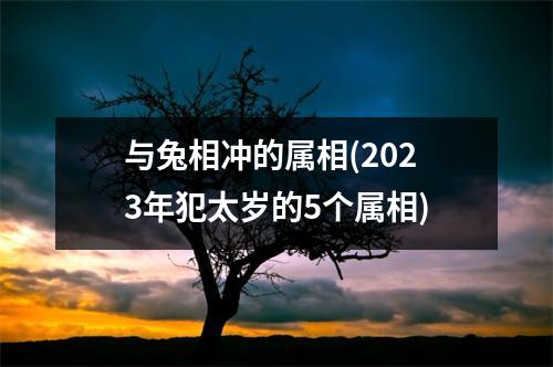 与兔相冲的属相(2023年犯太岁的5个属相)