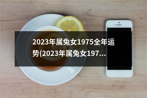 2023年属兔女1975全年运势(2023年属兔女1975全年运势幸运色 麦玲玲)