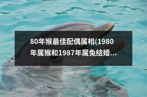 80年猴佳配偶属相(1980年属猴和1987年属兔结婚好吗)