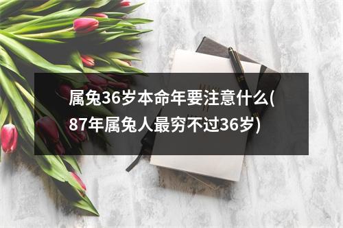 属兔36岁本命年要注意什么(87年属兔人穷不过36岁)