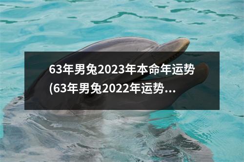 63年男兔2023年本命年运势(63年男兔2022年运势大家都找算命网)