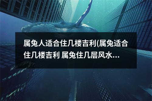 属兔人适合住几楼吉利(属兔适合住几楼吉利 属兔住几层风水好)