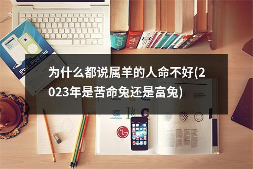 为什么都说属羊的人命不好(2023年是苦命兔还是富兔)