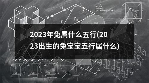 2023年兔属什么五行(2023出生的兔宝宝五行属什么)