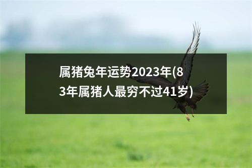 属猪兔年运势2023年(83年属猪人穷不过41岁)