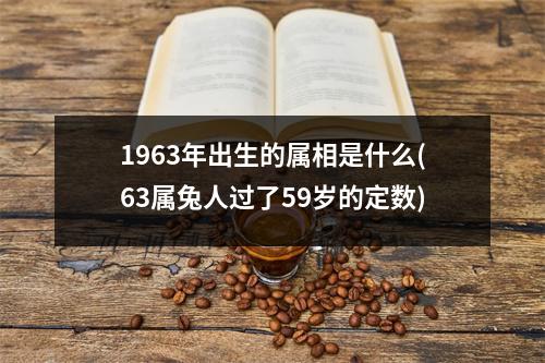 1963年出生的属相是什么(63属兔人过了59岁的定数)