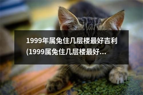 1999年属兔住几层楼好吉利(1999属兔住几层楼好门的朝向)