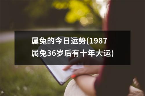 属兔的今日运势(1987属兔36岁后有十年大运)