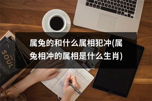 属兔的和什么属相犯冲(属兔相冲的属相是什么生肖)