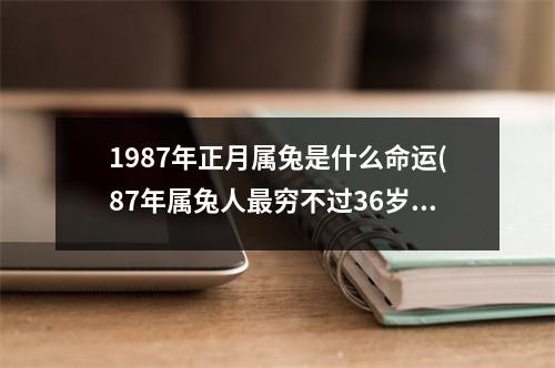 1987年正月属兔是什么命运(87年属兔人穷不过36岁)