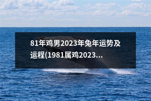 81年鸡男2023年兔年运势及运程(1981属鸡2023危险的一个月)