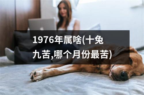 1976年属啥(十兔九苦,哪个月份苦)