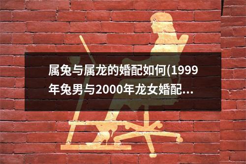 属兔与属龙的婚配如何(1999年兔男与2000年龙女婚配)