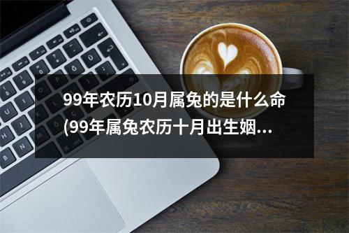 99年农历10月属兔的是什么命(99年属兔农历十月出生姻缘怎么样)