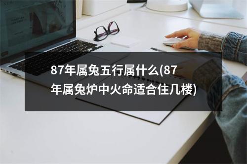 87年属兔五行属什么(87年属兔炉中火命适合住几楼)