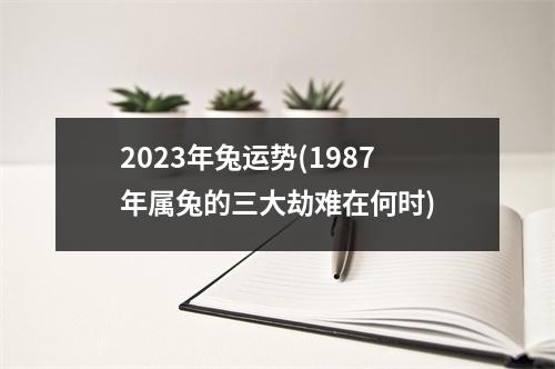 2023年兔运势(1987年属兔的三大劫难在何时)