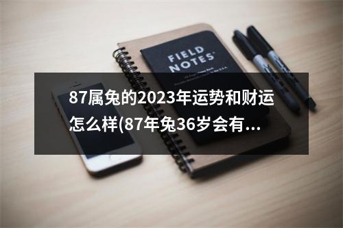 87属兔的2023年运势和财运怎么样(87年兔36岁会有横财运吗)