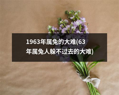 1963年属兔的大难(63年属兔人躲不过去的大难)