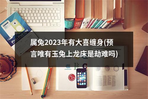 属兔2023年有大喜缠身(预言唯有玉兔上龙床是劫难吗)