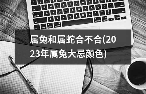 属兔和属蛇合不合(2023年属兔大忌颜色)