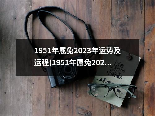 1951年属兔2023年运势及运程(1951年属兔2023年运势及运程女)