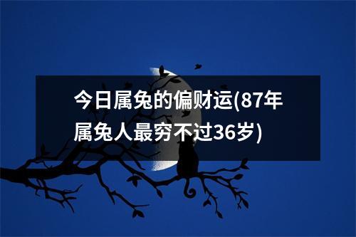 今日属兔的偏财运(87年属兔人穷不过36岁)