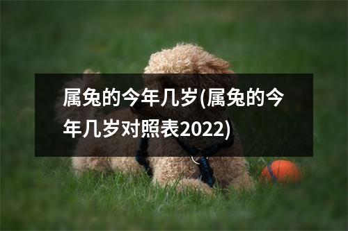 属兔的今年几岁(属兔的今年几岁对照表2022)