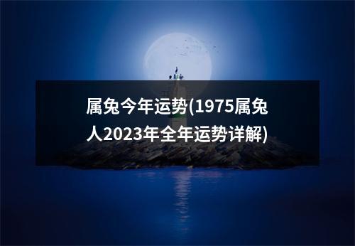 属兔今年运势(1975属兔人2023年全年运势详解)