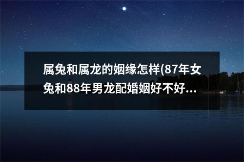 属兔和属龙的姻缘怎样(87年女兔和88年男龙配婚姻好不好)